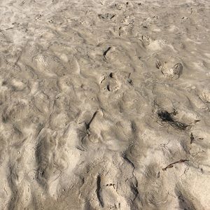 Meet your Posher, Rebeca